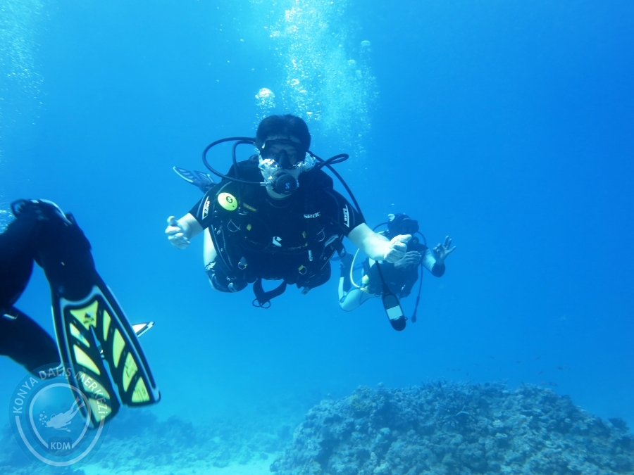 02-08 Aralık 2017 Sharm El Sheikh