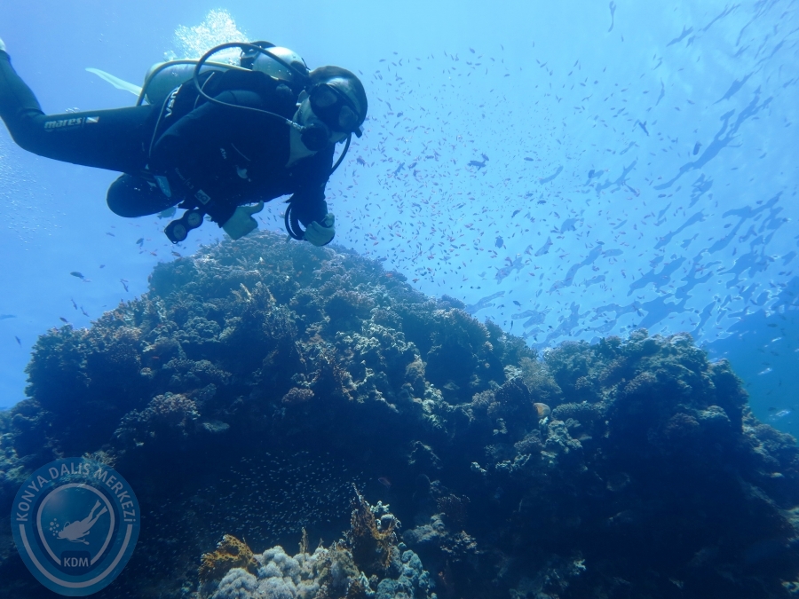 02-08 Aralık 2017 Sharm El Sheikh