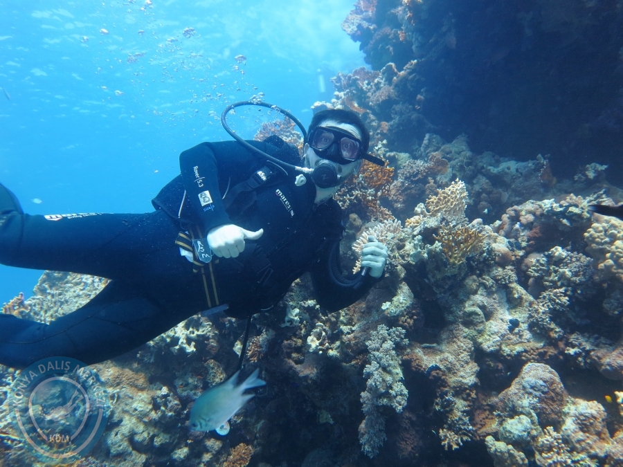 02-08 Aralık 2017 Sharm El Sheikh