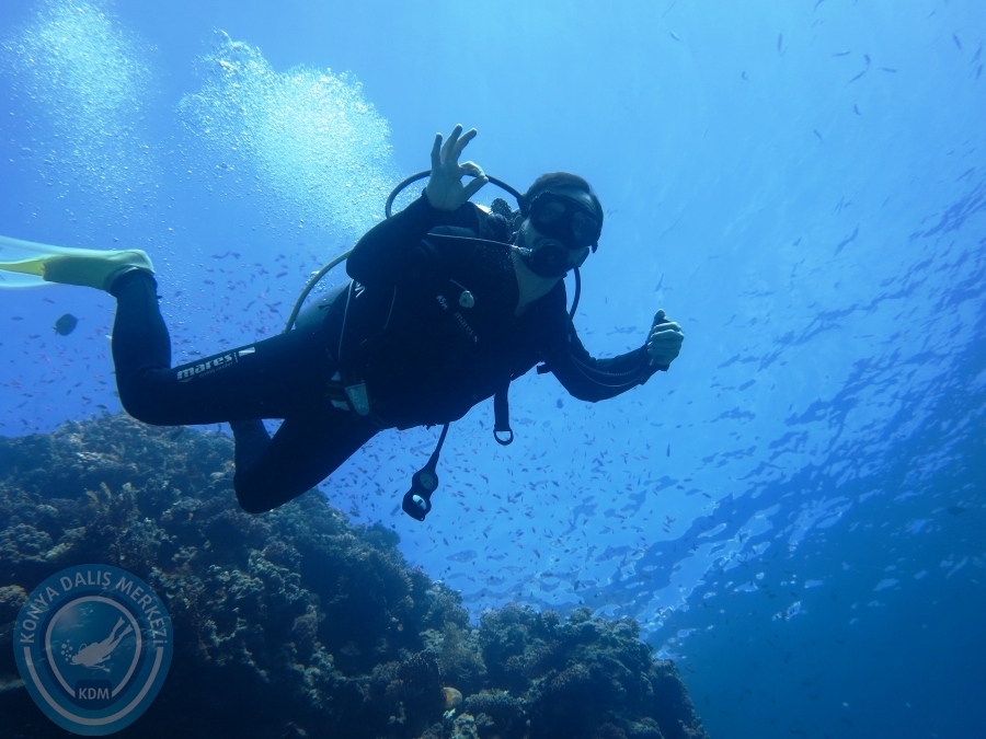 02-08 Aralık 2017 Sharm El Sheikh