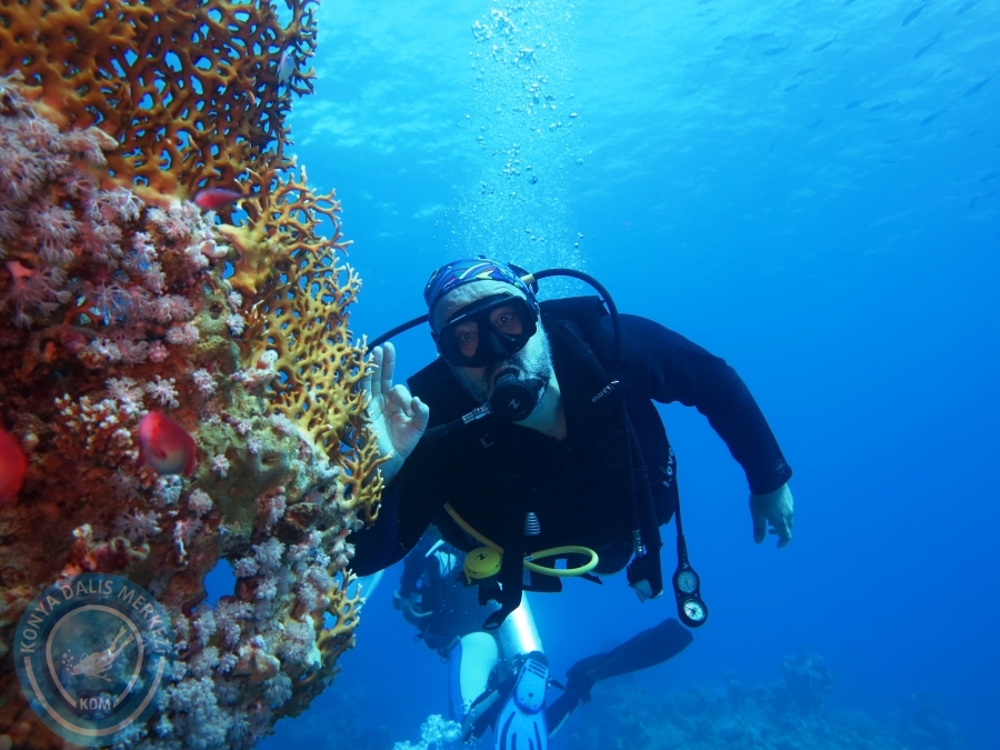 02-08 Aralık 2017 Sharm El Sheikh