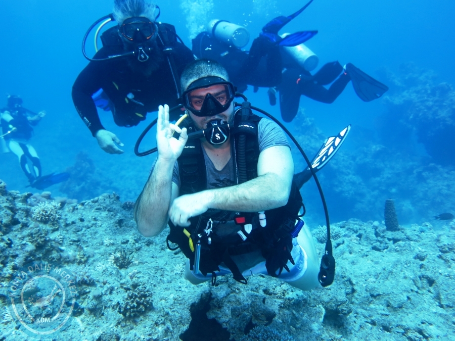 02-08 Aralık 2017 Sharm El Sheikh