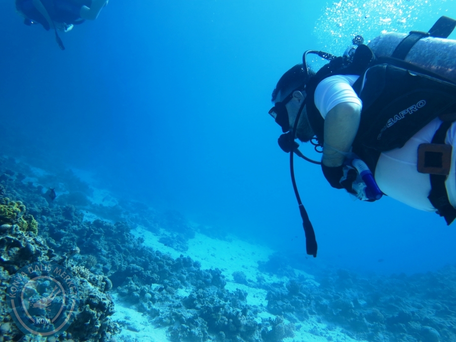02-08 Aralık 2017 Sharm El Sheikh