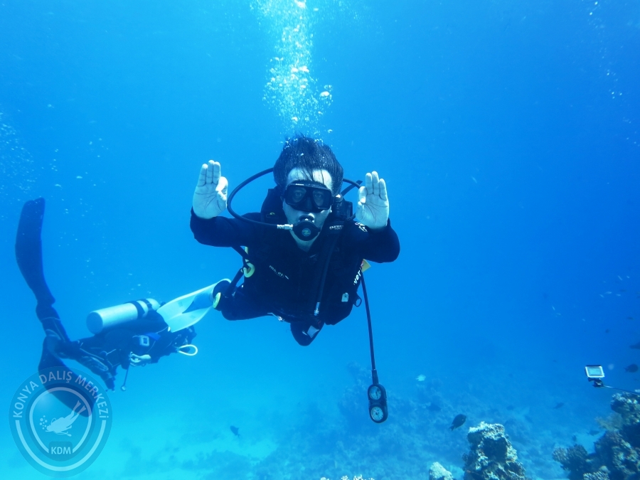 02-08 Aralık 2017 Sharm El Sheikh