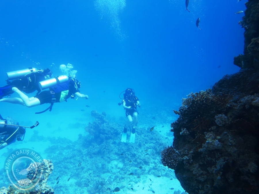 02-08 Aralık 2017 Sharm El Sheikh