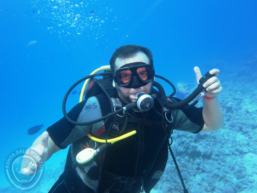 02-08 Aralık 2017 Sharm El Sheikh