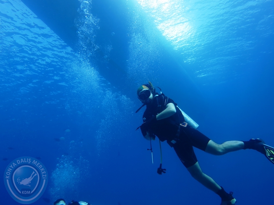 02-08 Aralık 2017 Sharm El Sheikh
