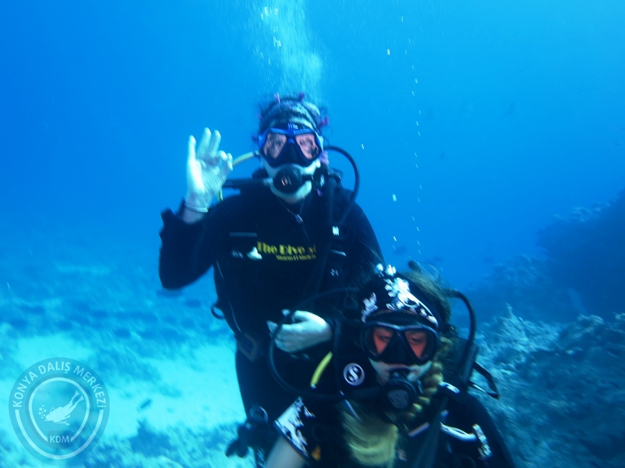 02-08 Aralık 2017 Sharm El Sheikh