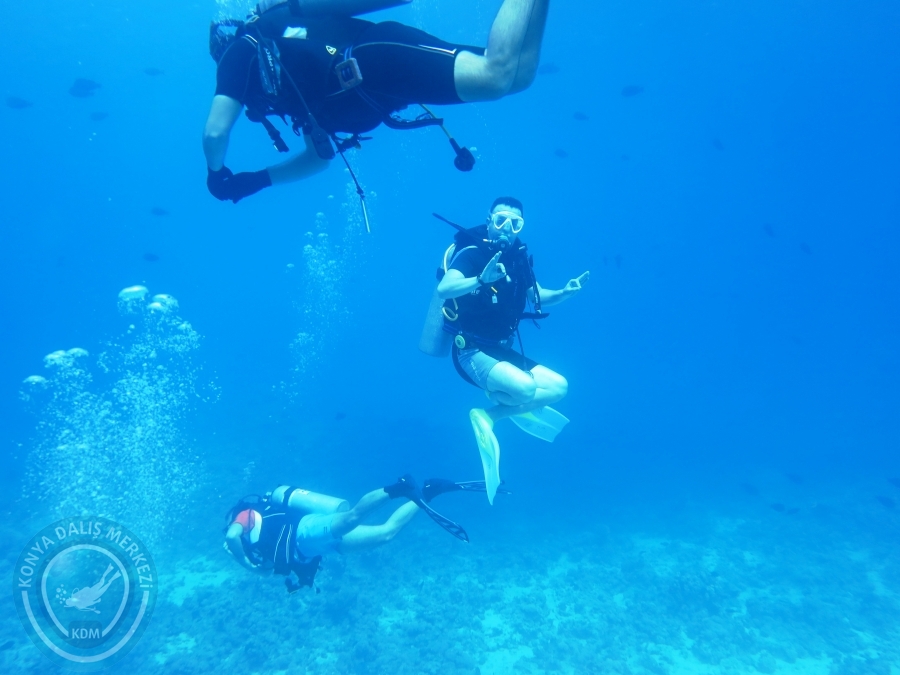 02-08 Aralık 2017 Sharm El Sheikh