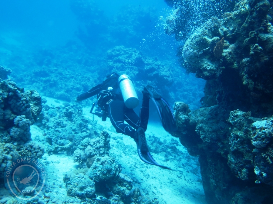 02-08 Aralık 2017 Sharm El Sheikh