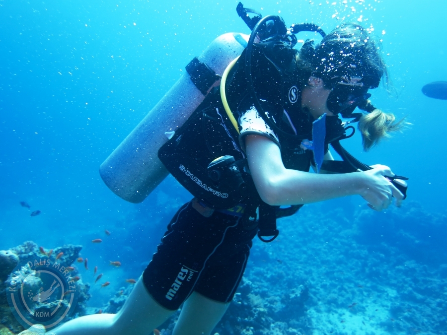 02-08 Aralık 2017 Sharm El Sheikh