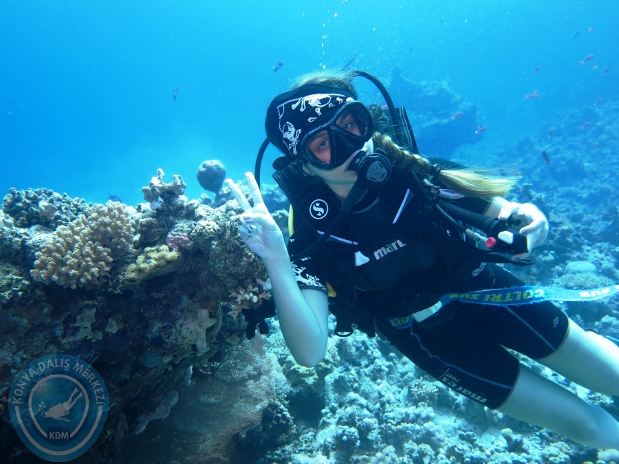 02-08 Aralık 2017 Sharm El Sheikh