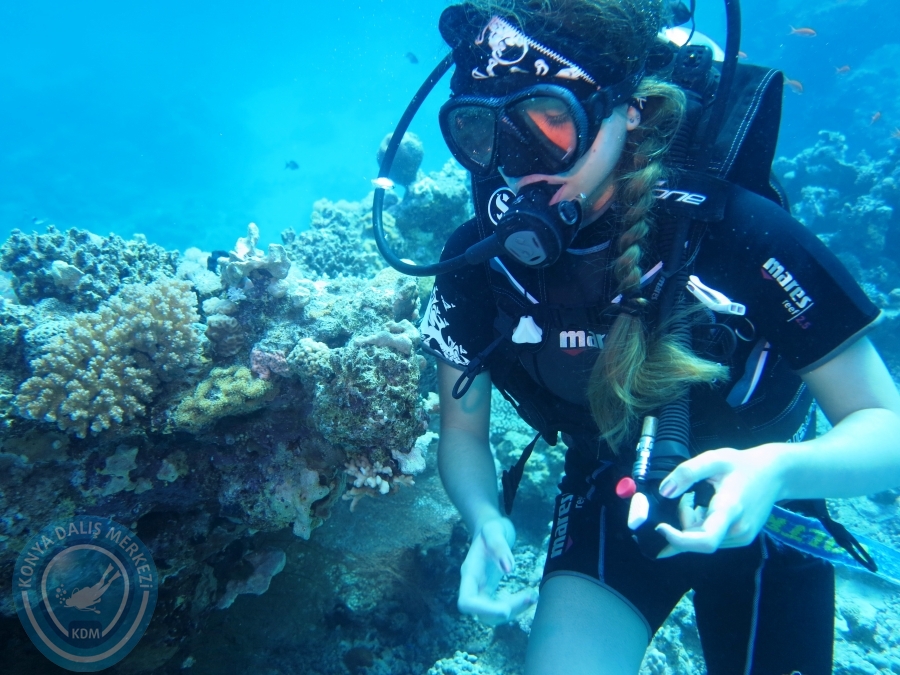 02-08 Aralık 2017 Sharm El Sheikh