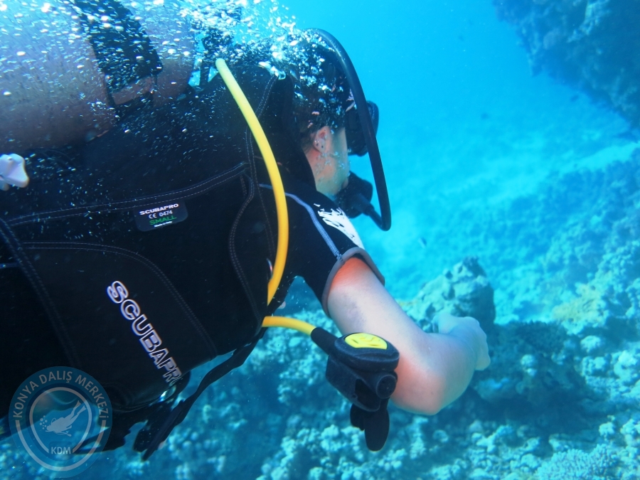 02-08 Aralık 2017 Sharm El Sheikh