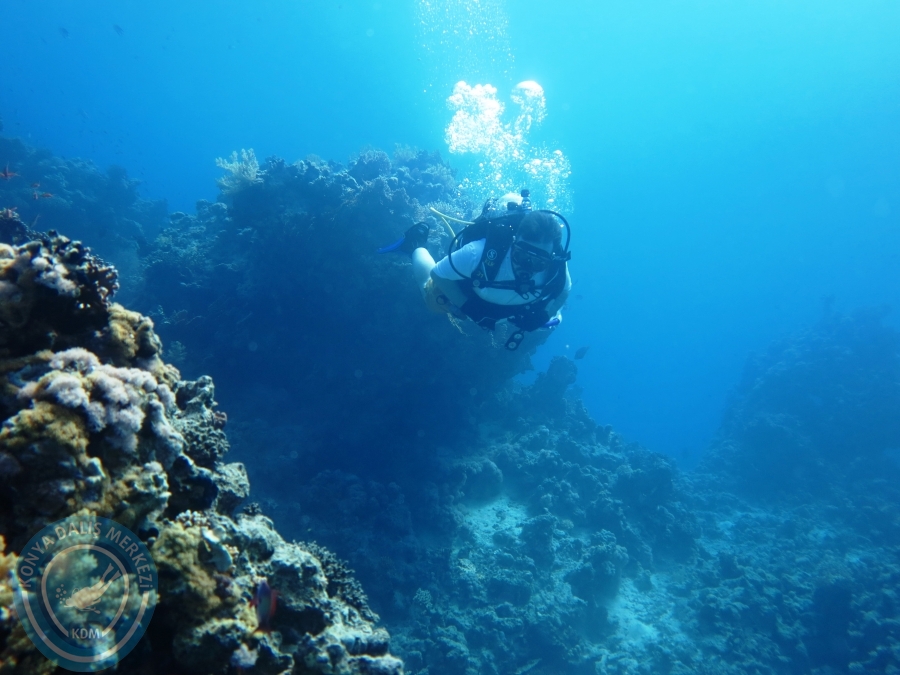 02-08 Aralık 2017 Sharm El Sheikh