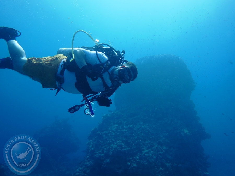 02-08 Aralık 2017 Sharm El Sheikh