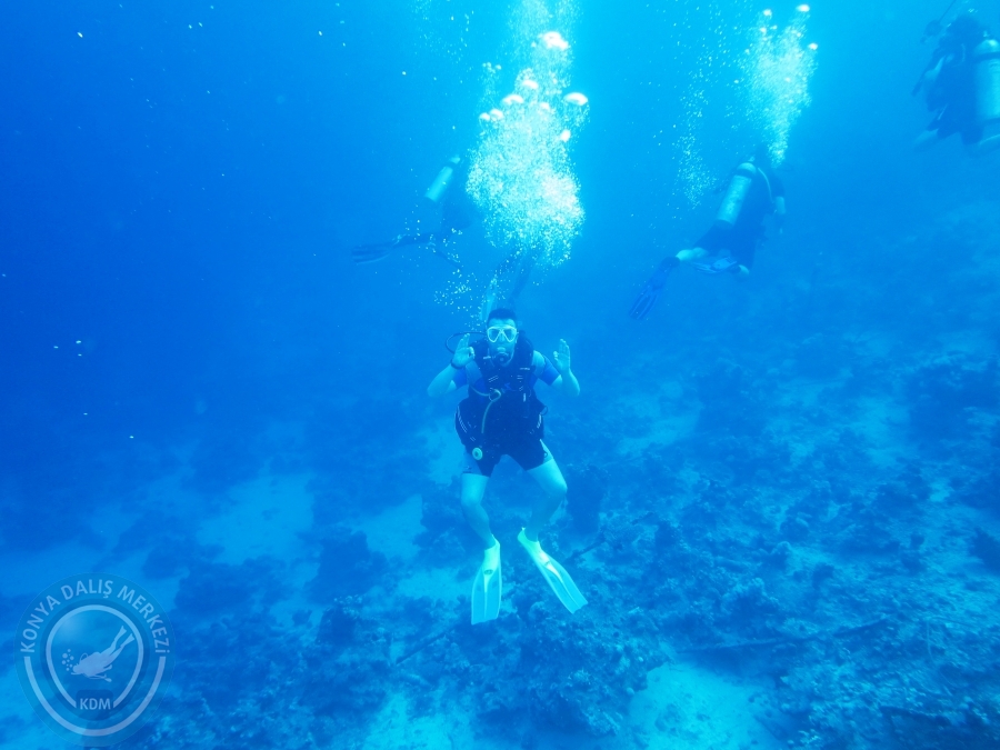 02-08 Aralık 2017 Sharm El Sheikh