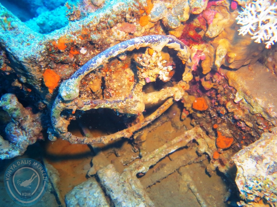 02-08 Aralık 2017 Sharm El Sheikh