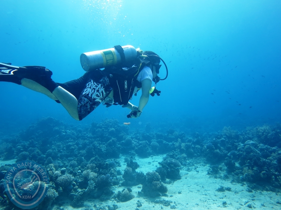 02-08 Aralık 2017 Sharm El Sheikh