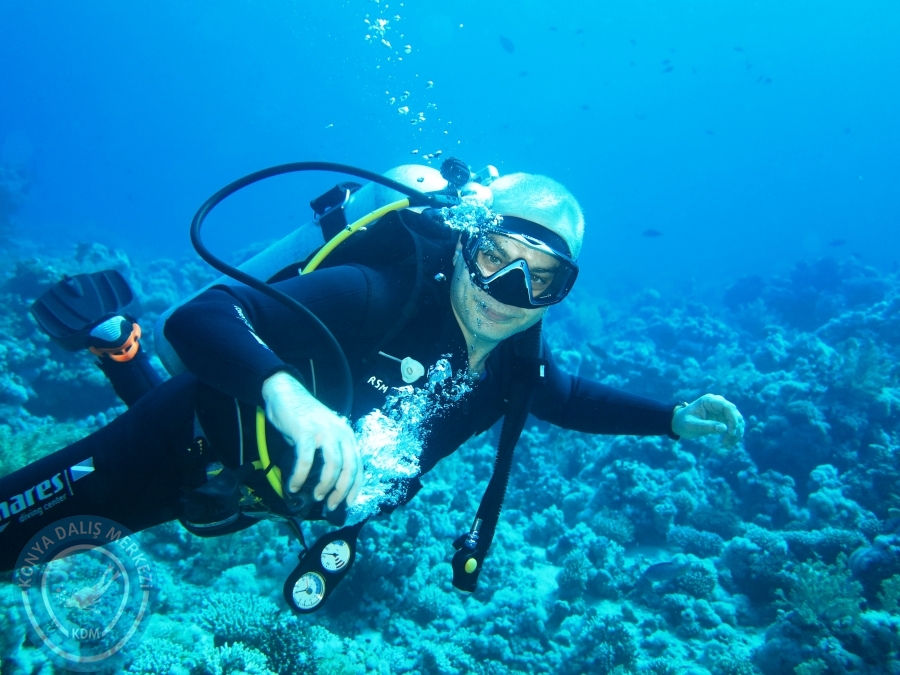 02-08 Aralık 2017 Sharm El Sheikh