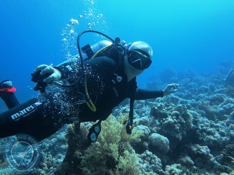 02-08 Aralık 2017 Sharm El Sheikh
