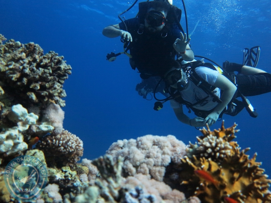02-08 Aralık 2017 Sharm El Sheikh