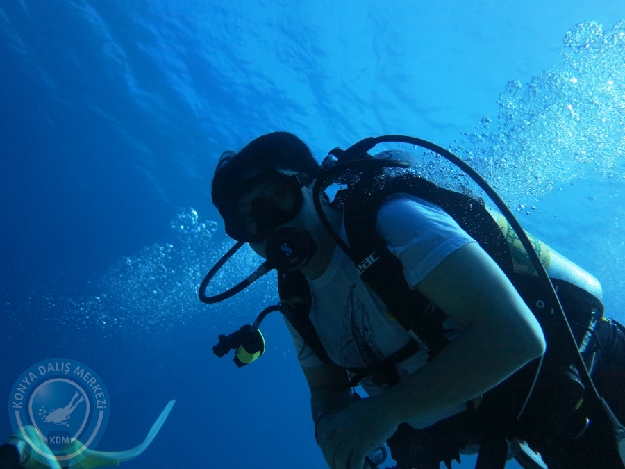 02-08 Aralık 2017 Sharm El Sheikh