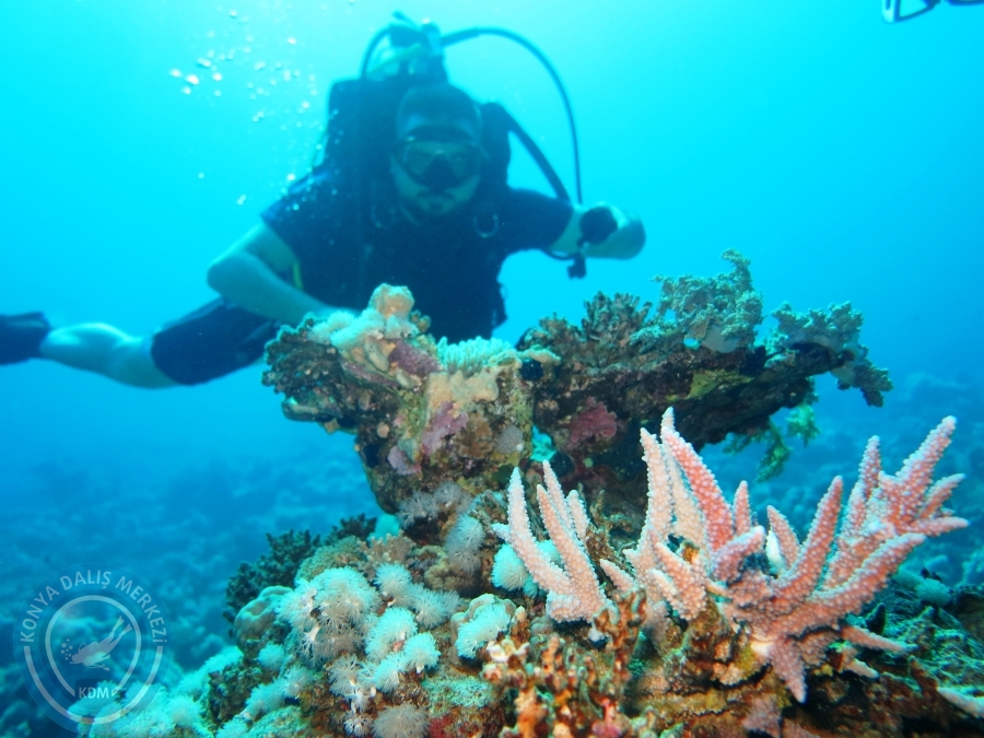 02-08 Aralık 2017 Sharm El Sheikh