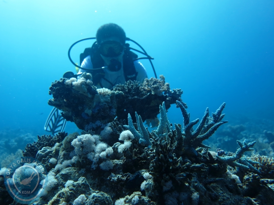 02-08 Aralık 2017 Sharm El Sheikh
