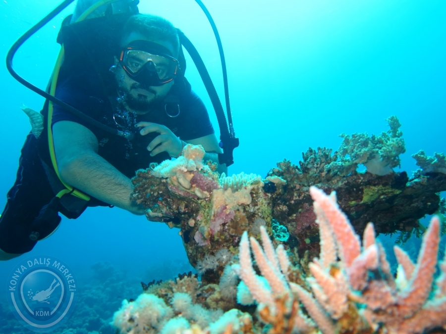 02-08 Aralık 2017 Sharm El Sheikh