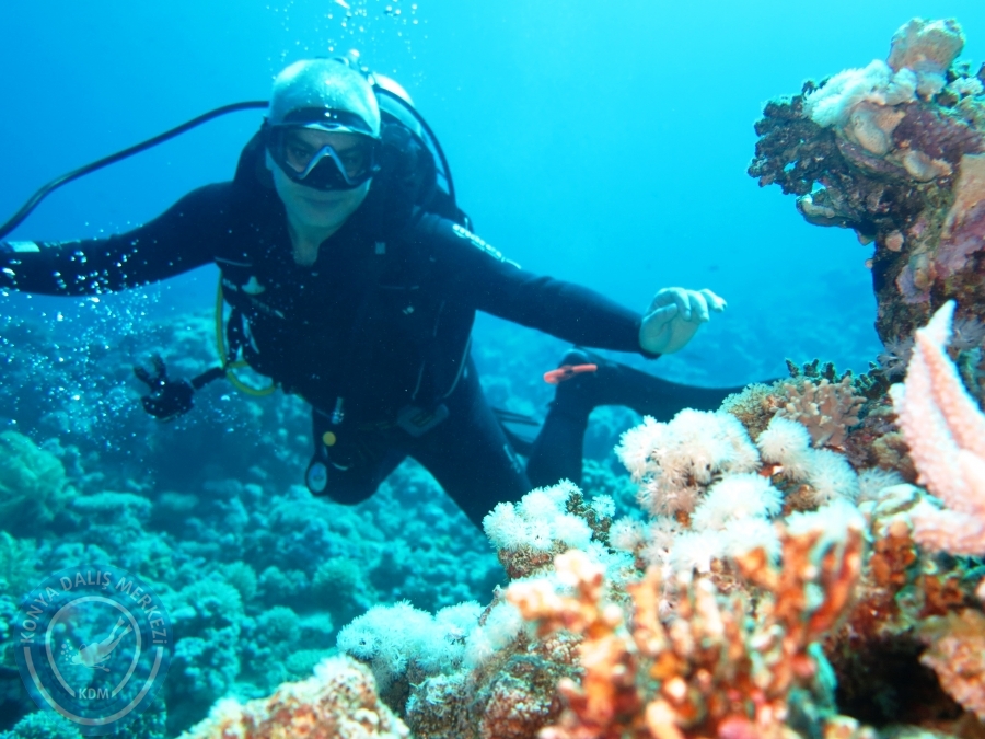 02-08 Aralık 2017 Sharm El Sheikh