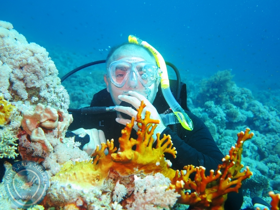 02-08 Aralık 2017 Sharm El Sheikh