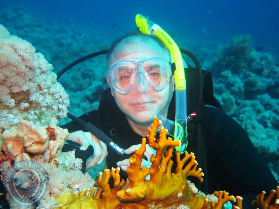 02-08 Aralık 2017 Sharm El Sheikh