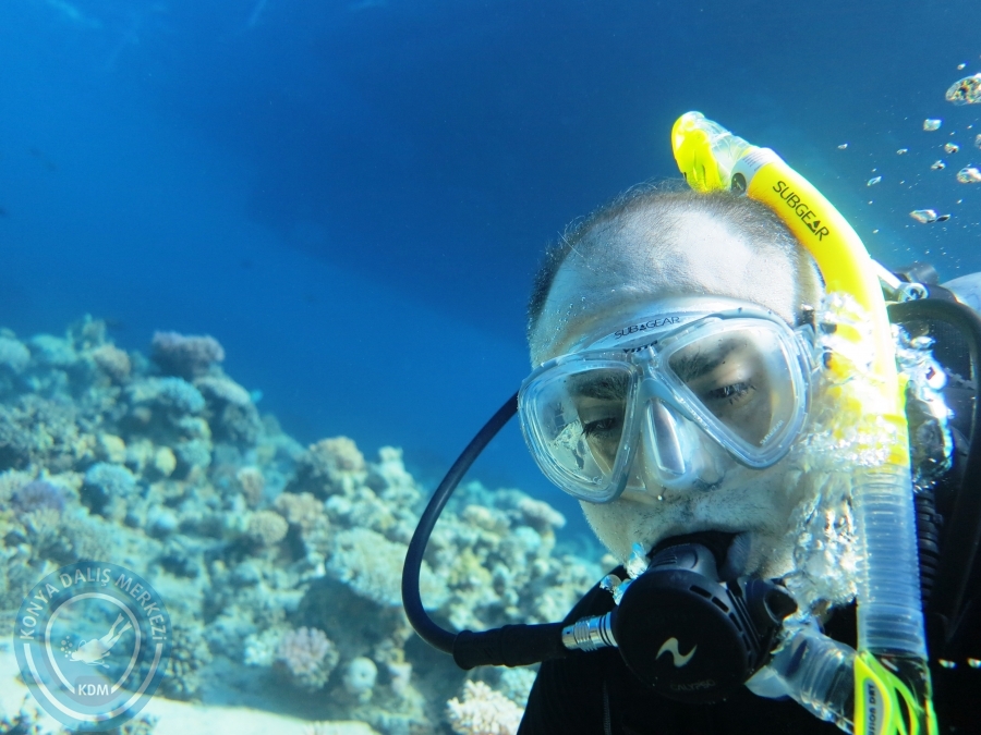 02-08 Aralık 2017 Sharm El Sheikh