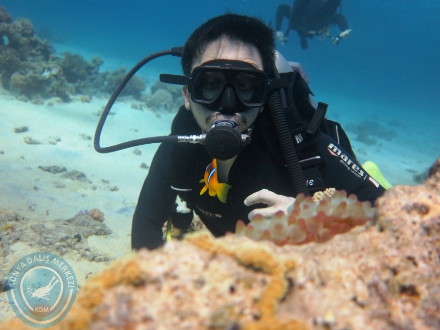 02-08 Aralık 2017 Sharm El Sheikh