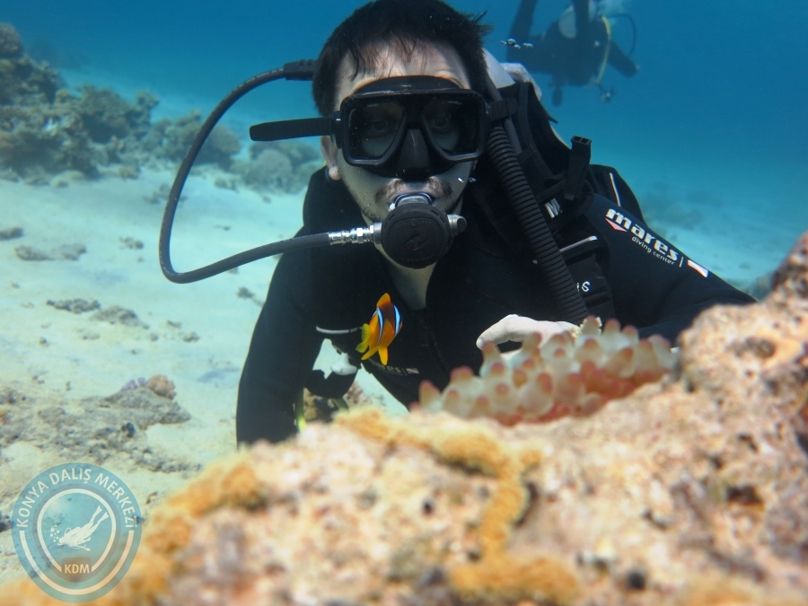 02-08 Aralık 2017 Sharm El Sheikh