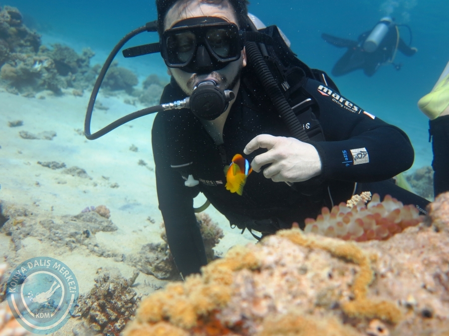 02-08 Aralık 2017 Sharm El Sheikh