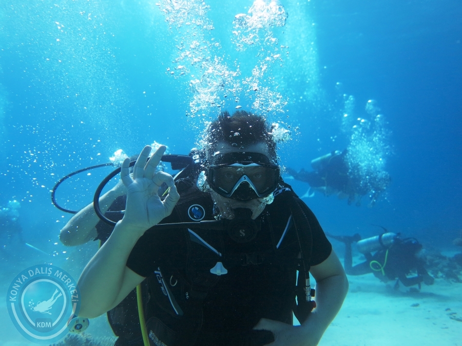 02-08 Aralık 2017 Sharm El Sheikh