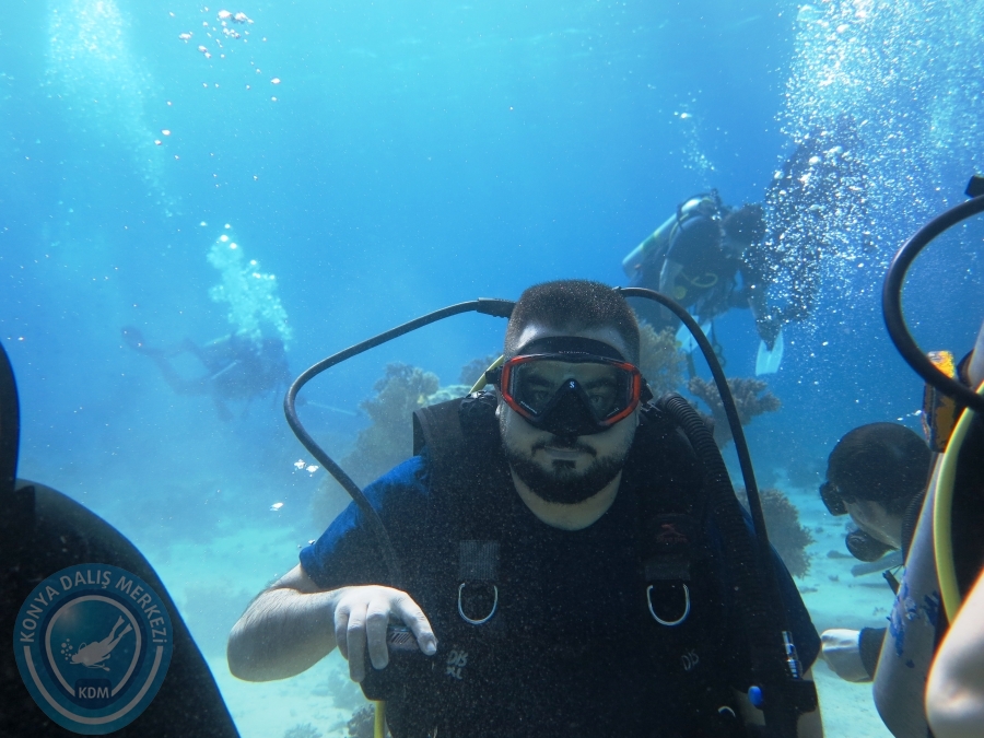02-08 Aralık 2017 Sharm El Sheikh