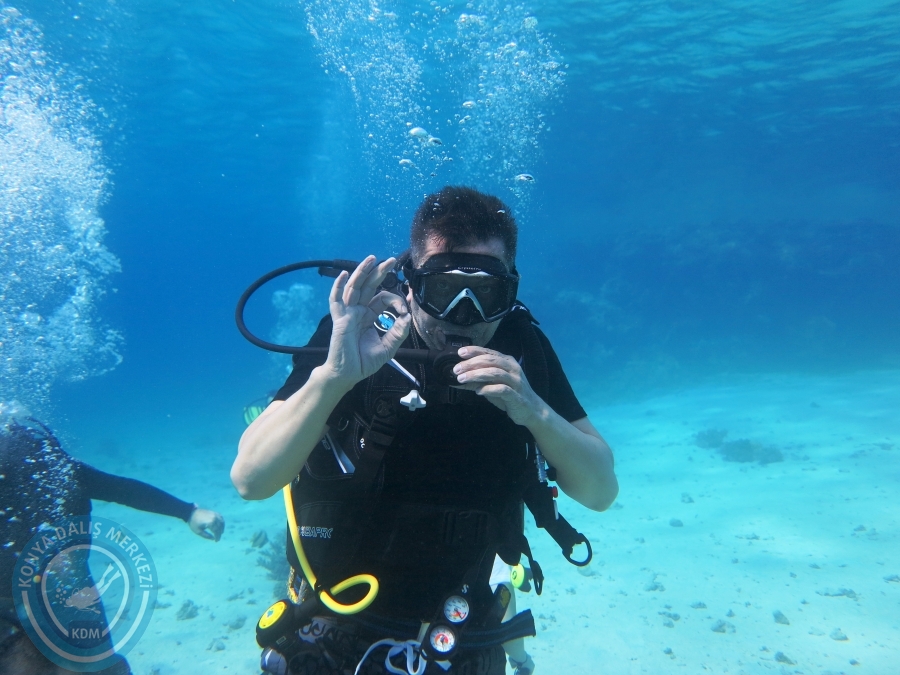02-08 Aralık 2017 Sharm El Sheikh