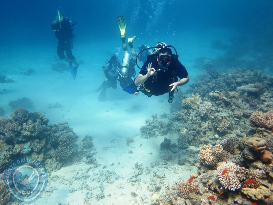 02-08 Aralık 2017 Sharm El Sheikh