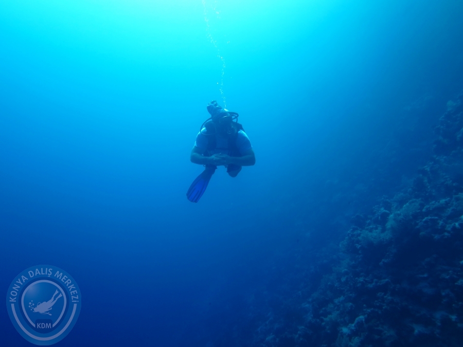 02-08 Aralık 2017 Sharm El Sheikh