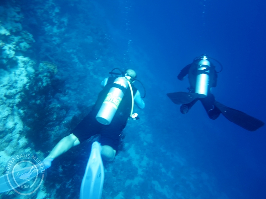02-08 Aralık 2017 Sharm El Sheikh