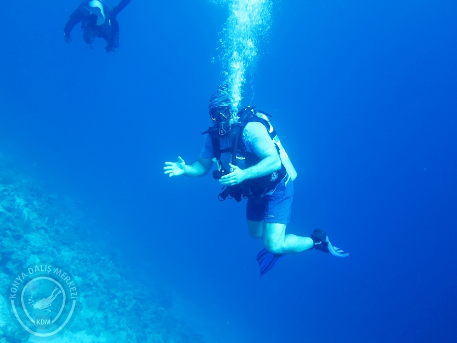 02-08 Aralık 2017 Sharm El Sheikh