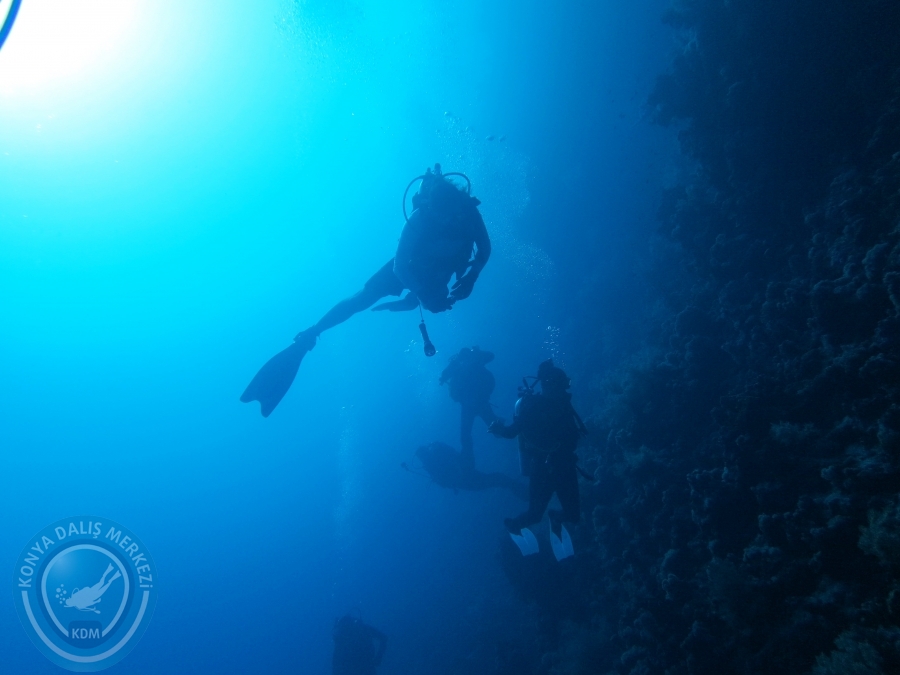 02-08 Aralık 2017 Sharm El Sheikh