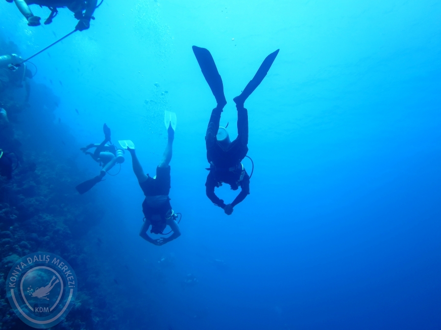02-08 Aralık 2017 Sharm El Sheikh