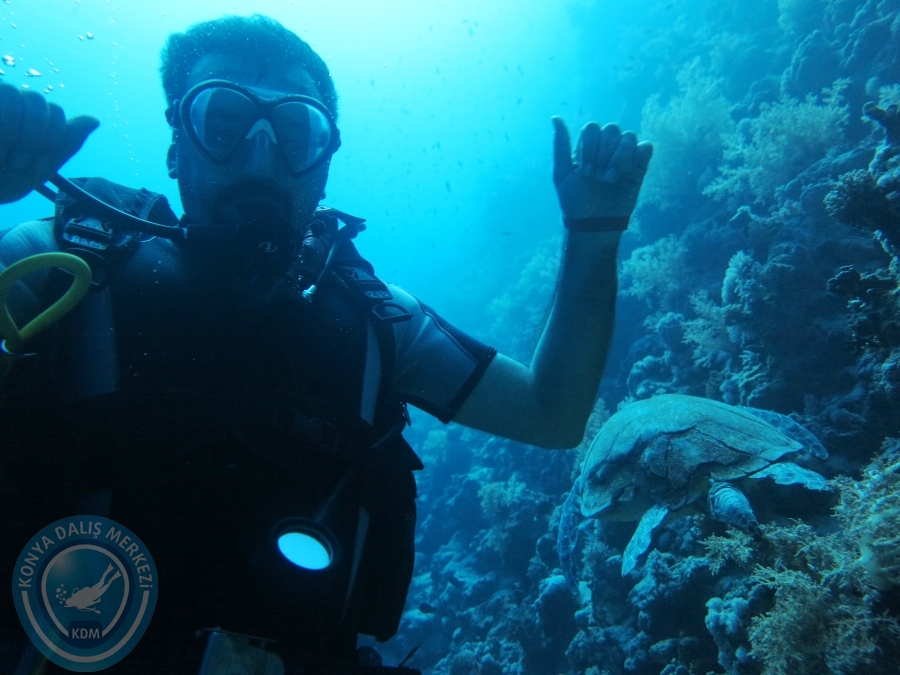 02-08 Aralık 2017 Sharm El Sheikh