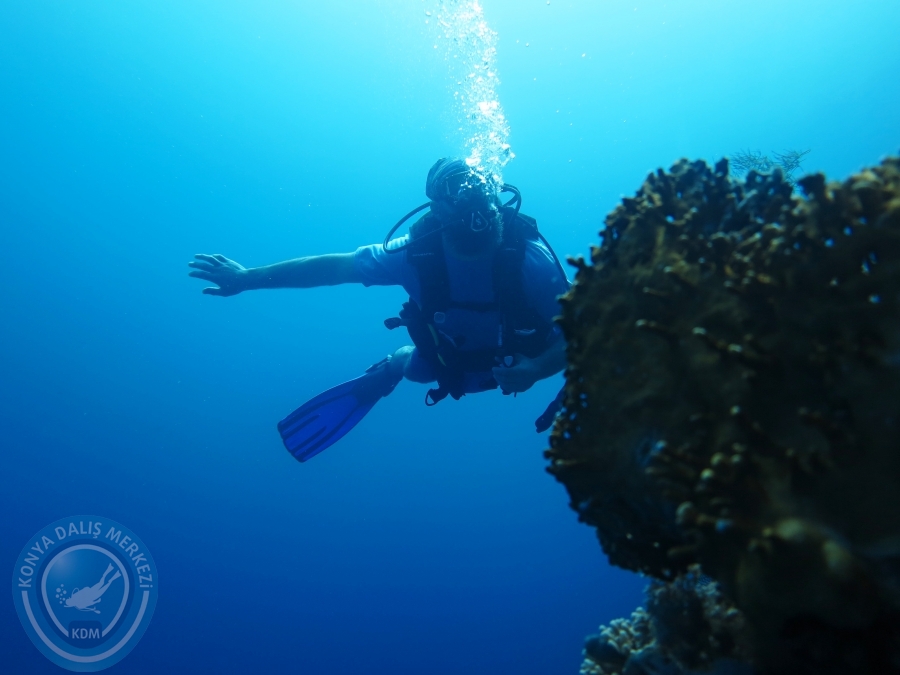02-08 Aralık 2017 Sharm El Sheikh