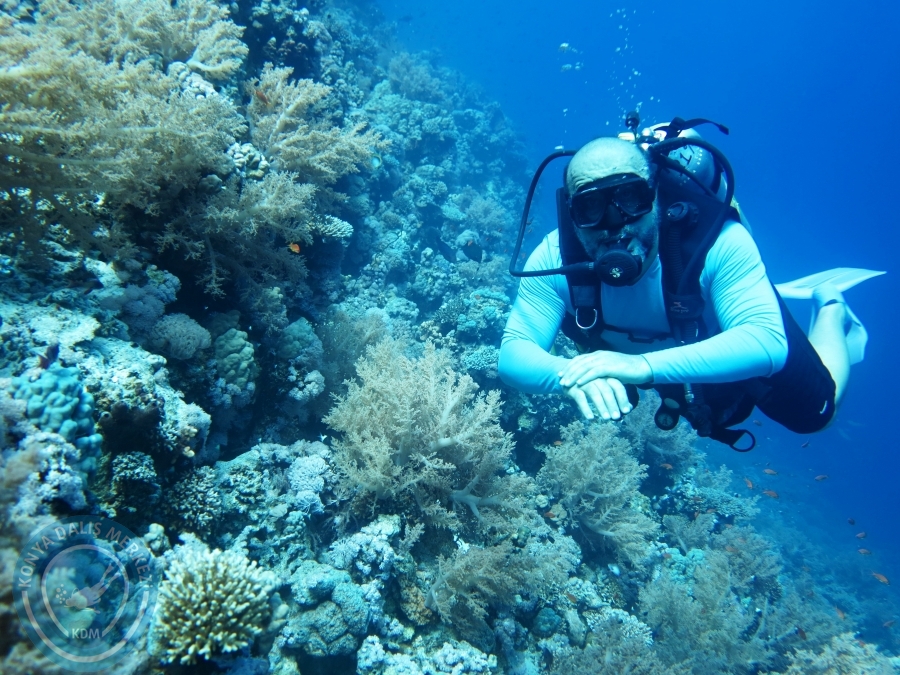 02-08 Aralık 2017 Sharm El Sheikh