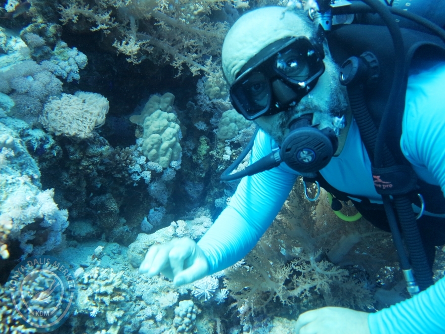 02-08 Aralık 2017 Sharm El Sheikh